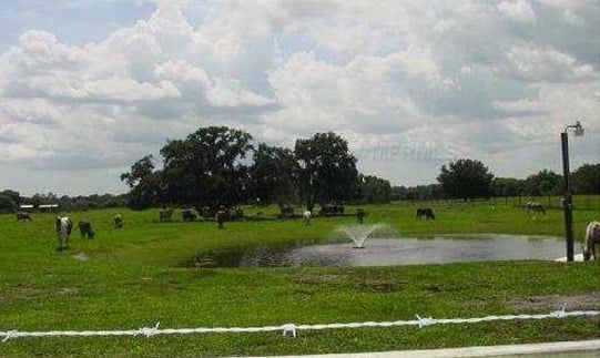 Pasture view of Myakka Home with 30 Acre Farm