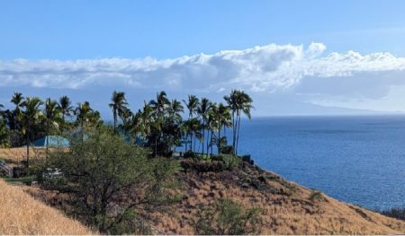 Kohala Ranch