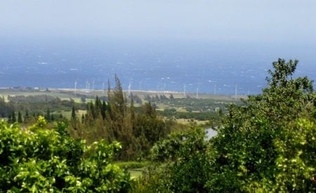 North Kohala Real Estate