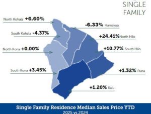 Big Island Real Estate