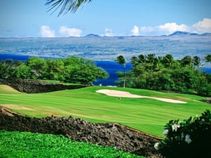 Mauna Kea Market Update