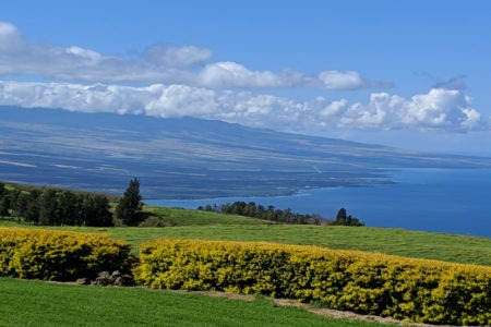 Kohala Coast