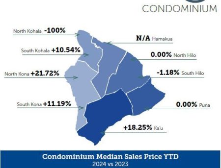 Big Island Real Estate