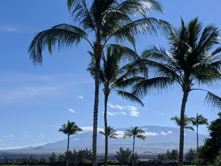 Kohala Coast