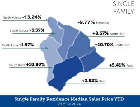 Big Island Stats