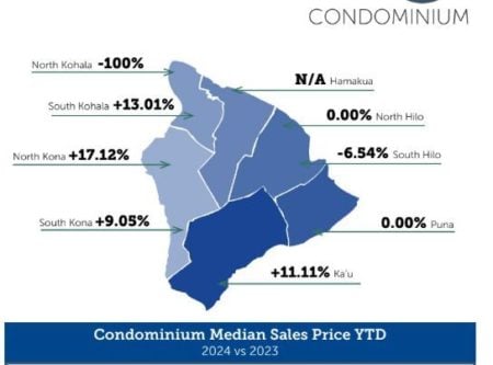 Big Island Real Estate