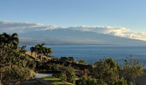Kohala Coast