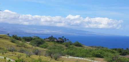 Kohala Coast