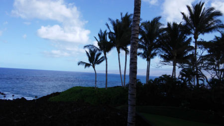 Mauna Lani Resort